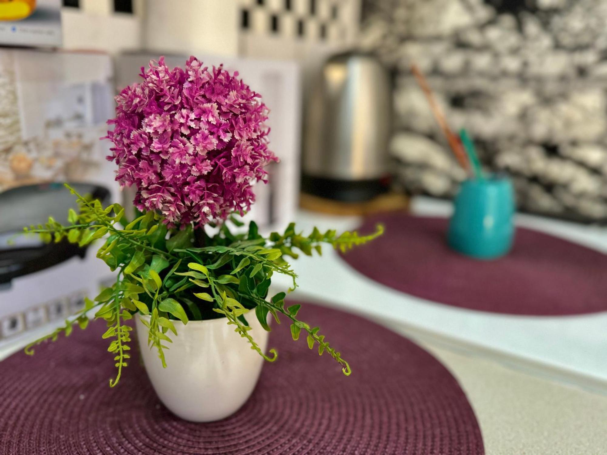 Aparthotel Maxim Kotor Exteriör bild